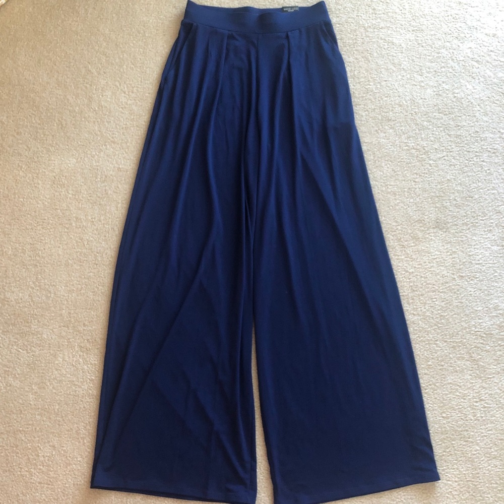 NWOT: Express navy high rise wide leg pant size xs, perfect condition!